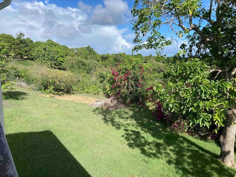 Magnifique Villa Sainte-Anne  Esterno foto